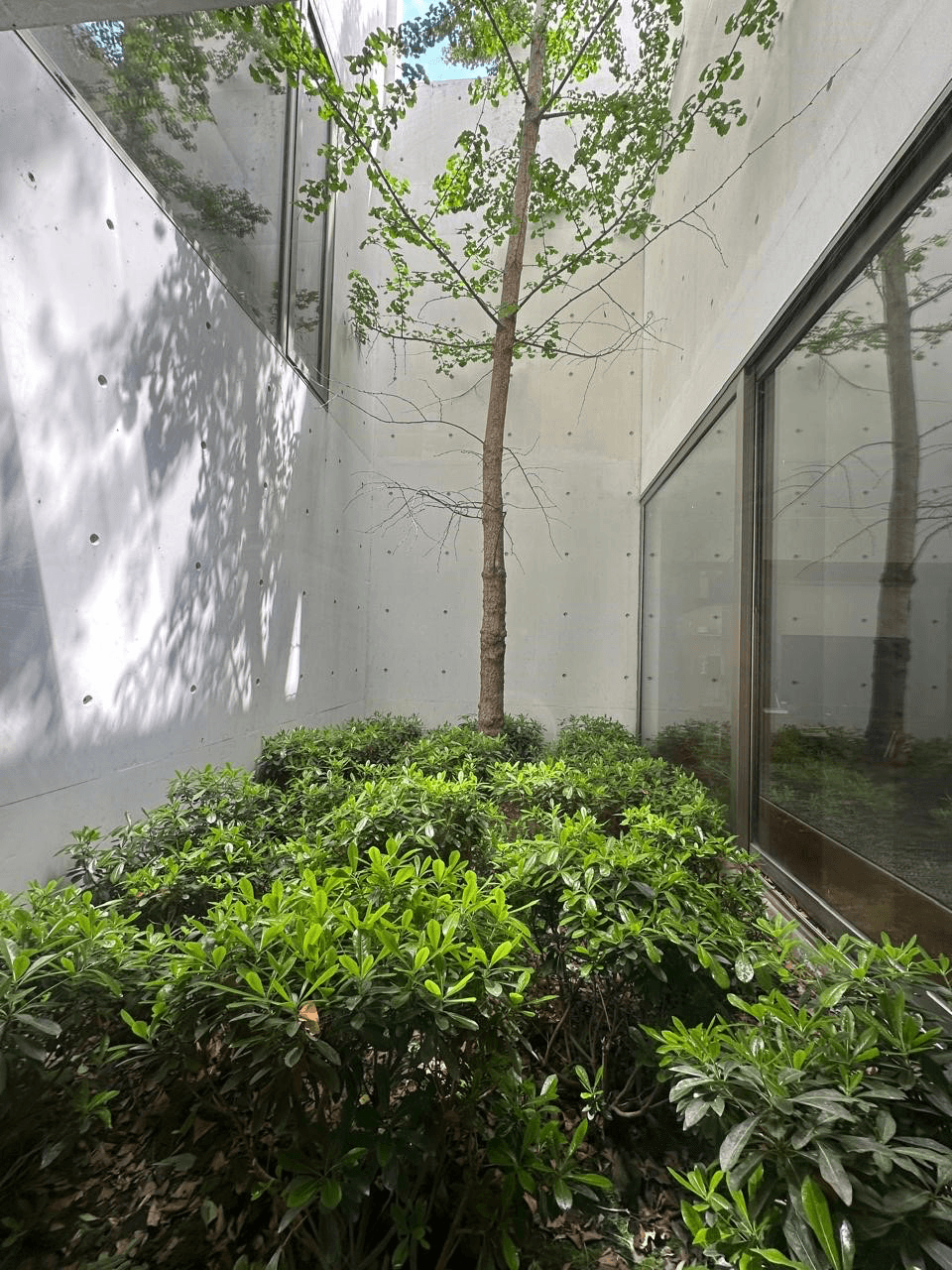 El Mejor Arquitecto en el Mejor Condominio