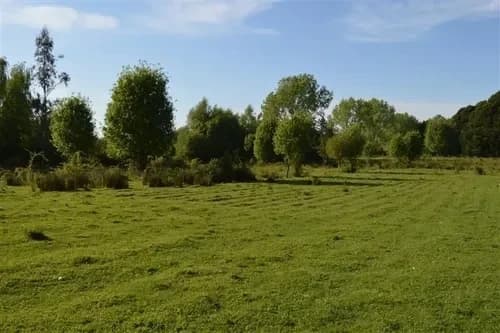 Ideal Inversionista, 2,3 Ha. Al Lado De Villarrica-pucon