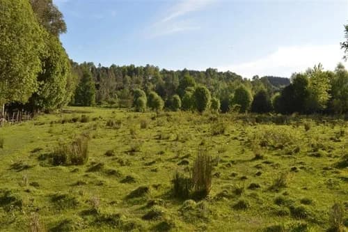 Ideal Inversionista, 2,3 Ha. Al Lado De Villarrica-pucon