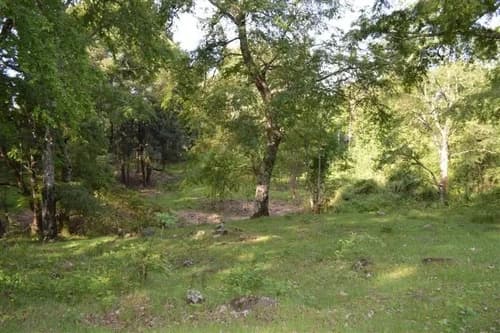 Ideal Inversionista, 2,3 Ha. Al Lado De Villarrica-pucon