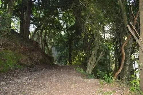 Ideal Inversionista, 2,3 Ha. Al Lado De Villarrica-pucon
