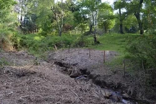 Ideal Inversionista, 2,3 Ha. Al Lado De Villarrica-pucon