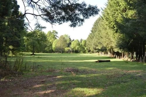 Ideal Inversionista, 2,3 Ha. Al Lado De Villarrica-pucon
