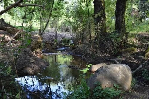 Ideal Inversionista, 2,3 Ha. Al Lado De Villarrica-pucon