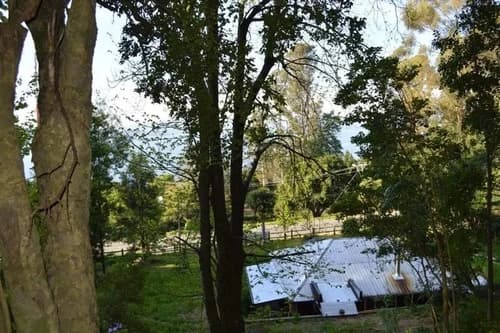 Ideal Inversionista, 2,3 Ha. Al Lado De Villarrica-pucon
